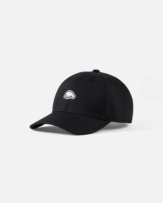 КЕПКА ANTEATER BASEBALL